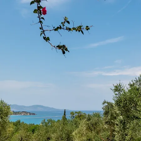 Ionian Aura Tsilivi (Zakynthos)